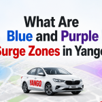 what are blue and purple surge zone in yango
